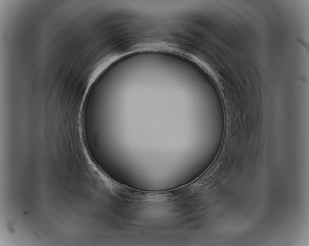 X0000091951440200709061031