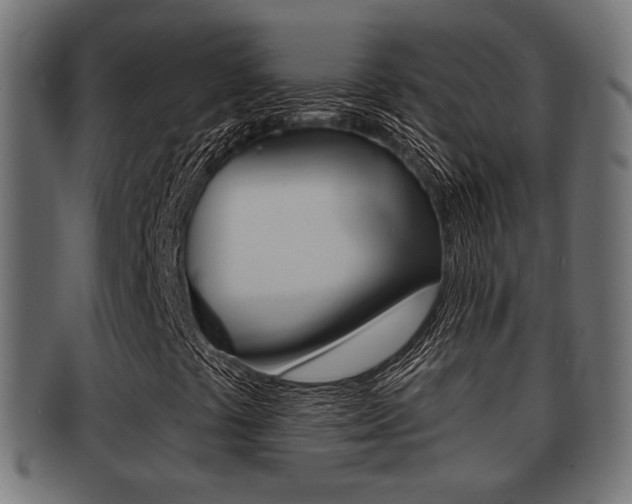 X0000091951441200709061030