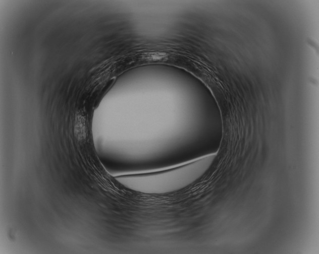X0000091951442200709061030
