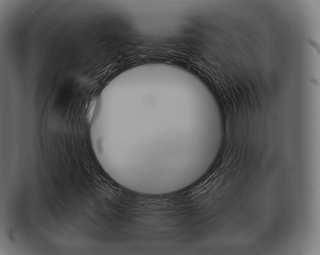 X0000091951443200709061030