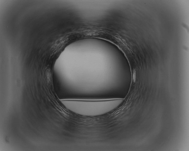 X0000091951444200709061030
