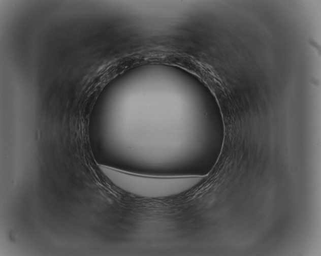 X0000091951445200709061030