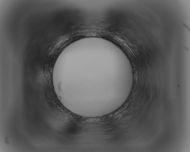 X0000091951446200709061030