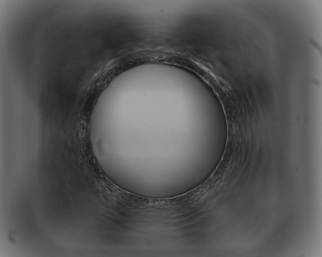 X0000091951447200709061030