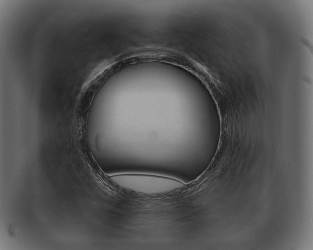 X0000091951448200709061030