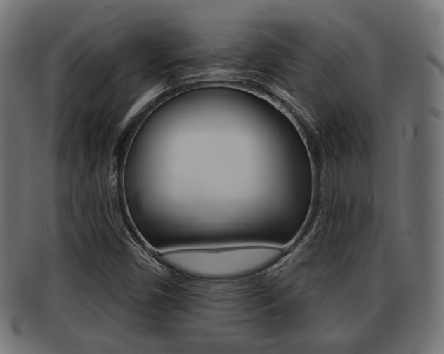 X0000091951450200709061030