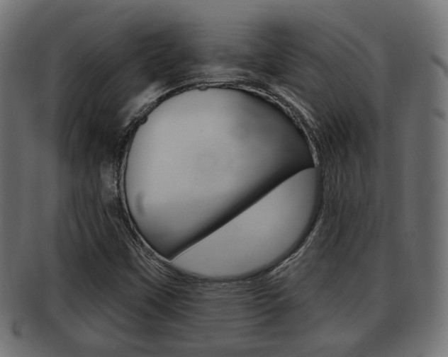 X0000091951451200709061030