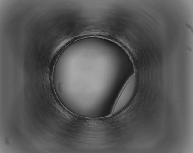 X0000091951452200709061030