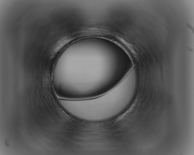 X0000091951453200709061030