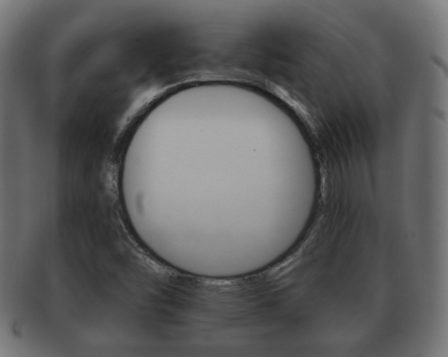 X0000091951454200709061030