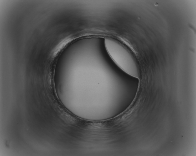 X0000091951455200709061030