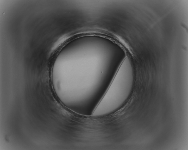 X0000091951456200709061030