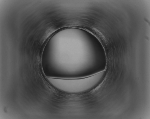 X0000091951457200709061030