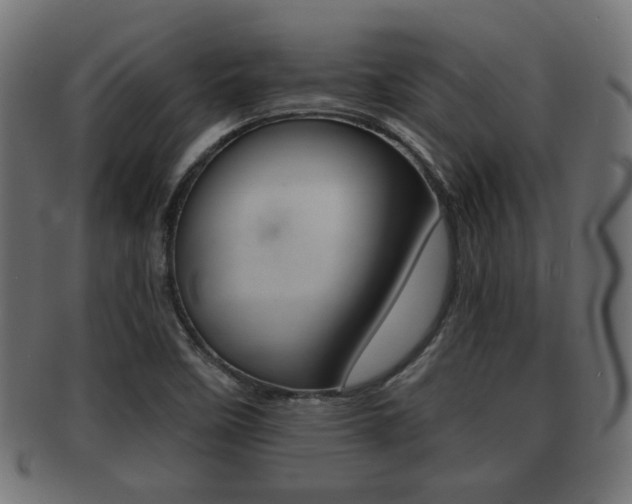 X0000091951458200709061030
