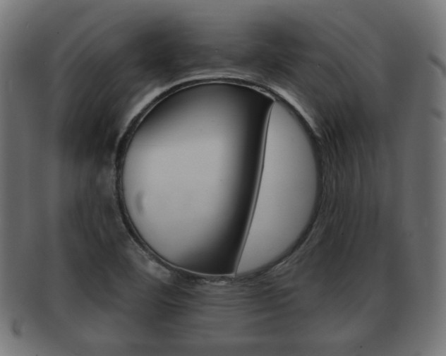 X0000091951460200709061030