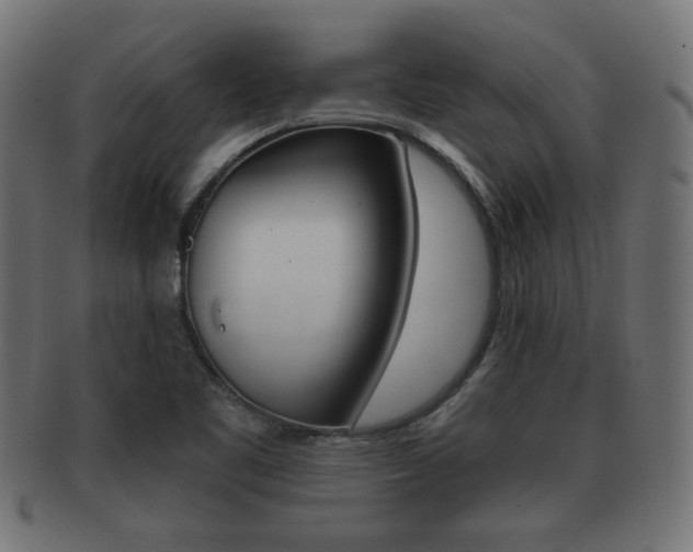 X0000091951461200709061030