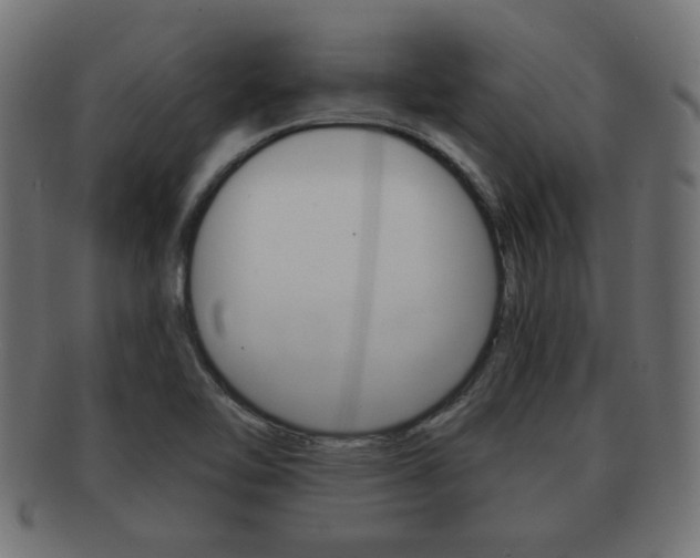 X0000091951462200709061030