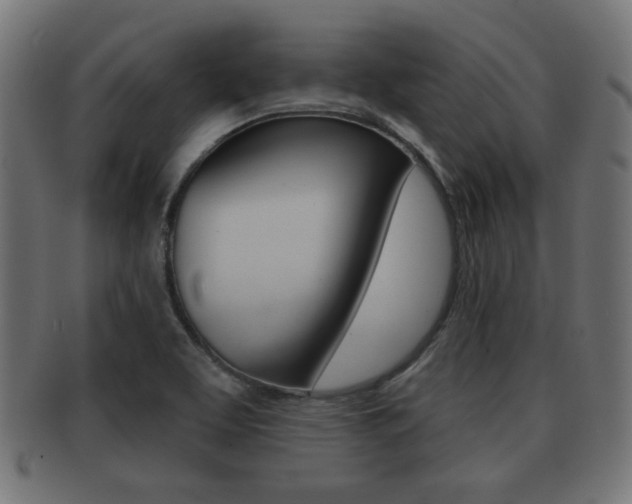 X0000091951463200709061030