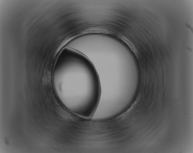 X0000091951465200709061030