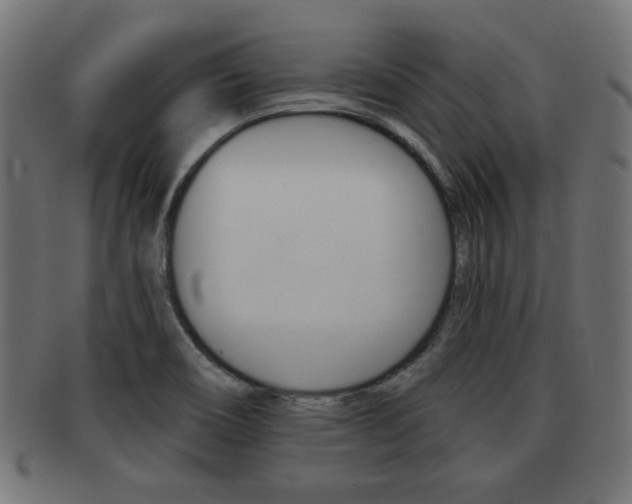 X0000091951466200709061030