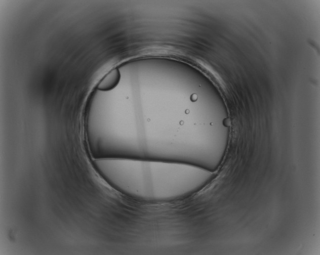 X0000091951467200709061029
