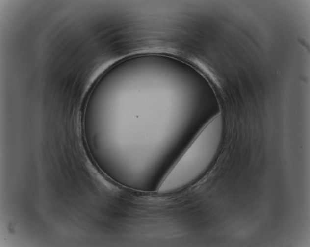 X0000091951468200709061029