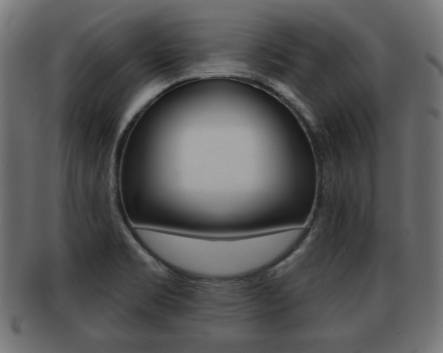 X0000091951469200709061029