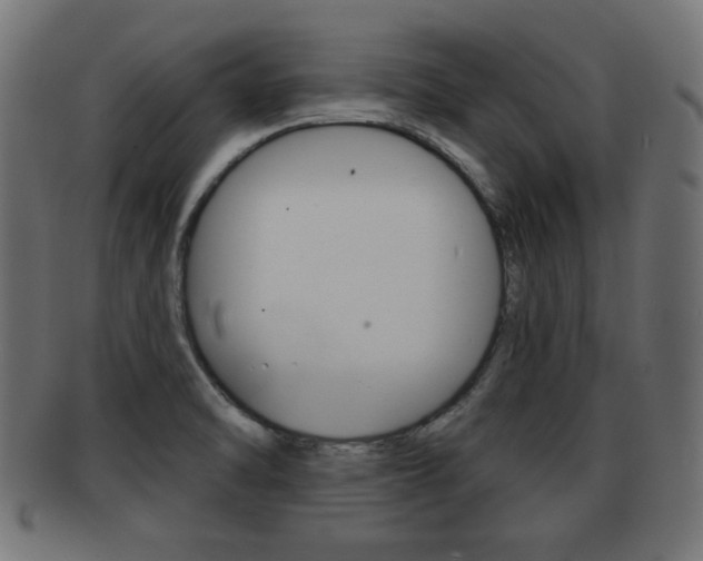 X0000091951470200709061029