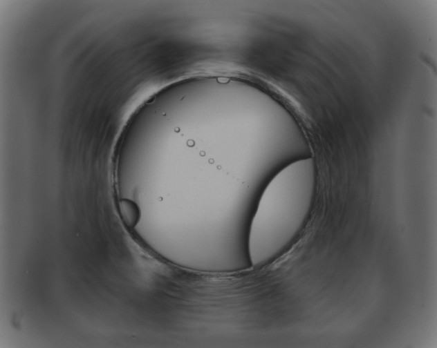 X0000091951471200709061029