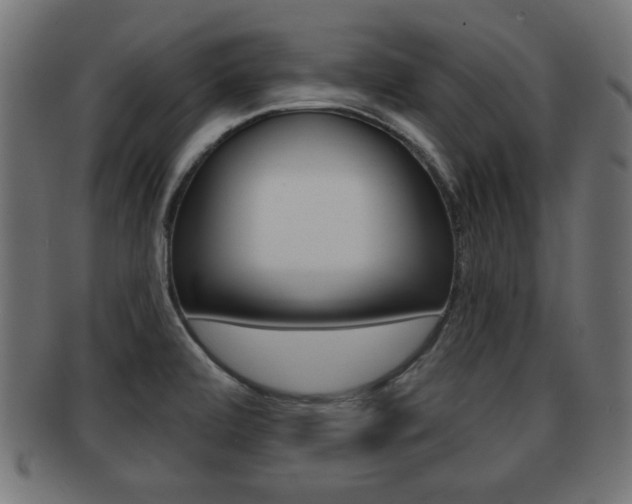 X0000091951472200709061029