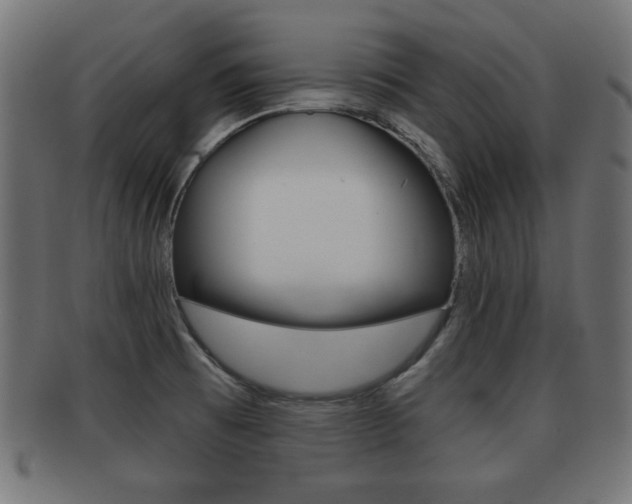 X0000091951473200709061029