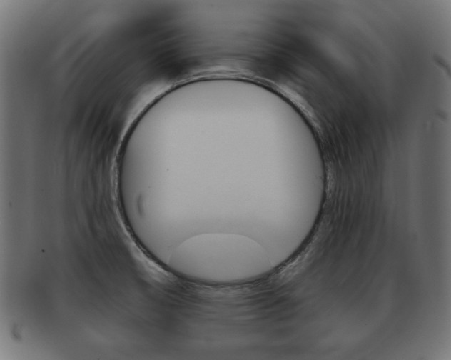 X0000091951474200709061029