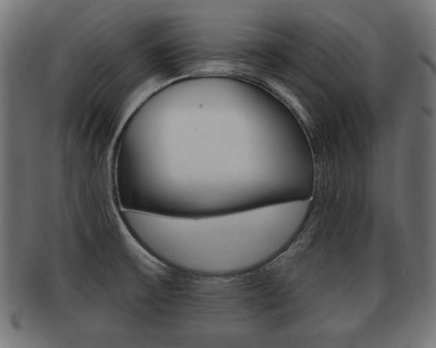 X0000091951475200709061029