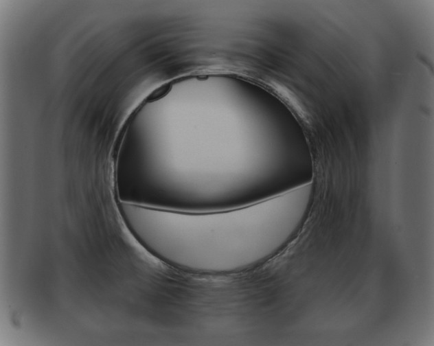 X0000091951476200709061029
