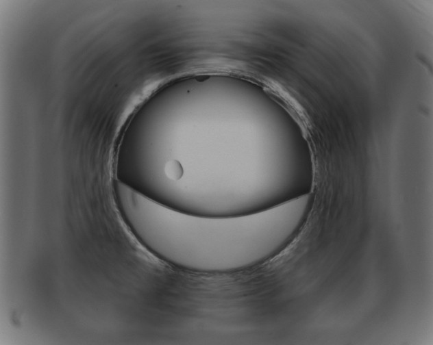 X0000091951477200709061029