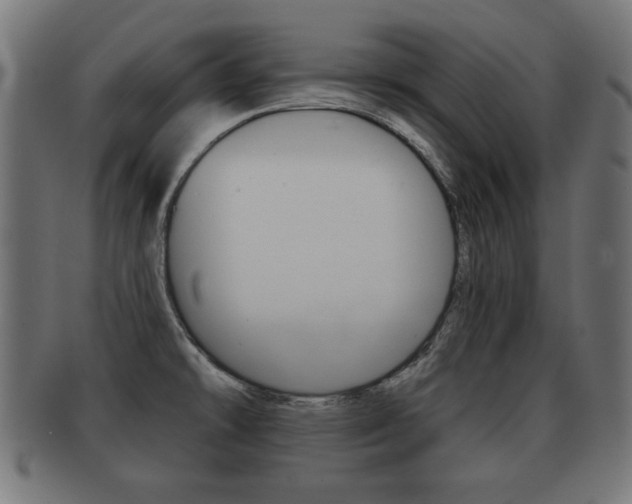 X0000091951478200709061029