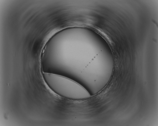X0000091951479200709061029