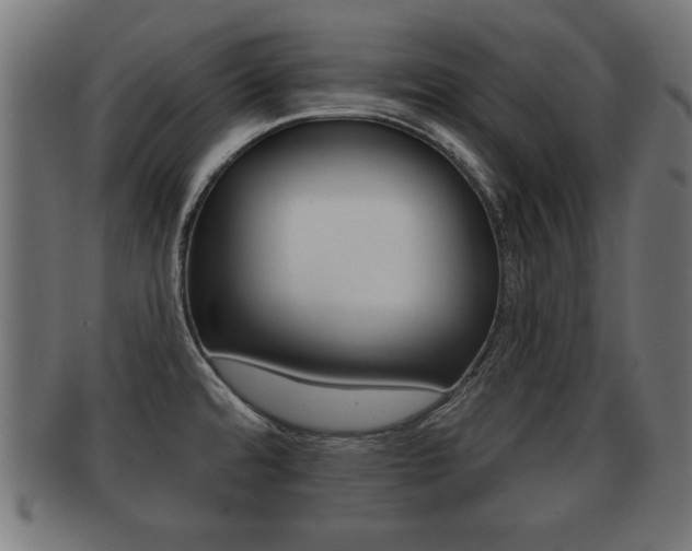 X0000091951480200709061029