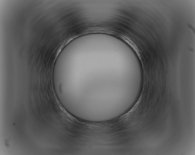 X0000091951481200709061029
