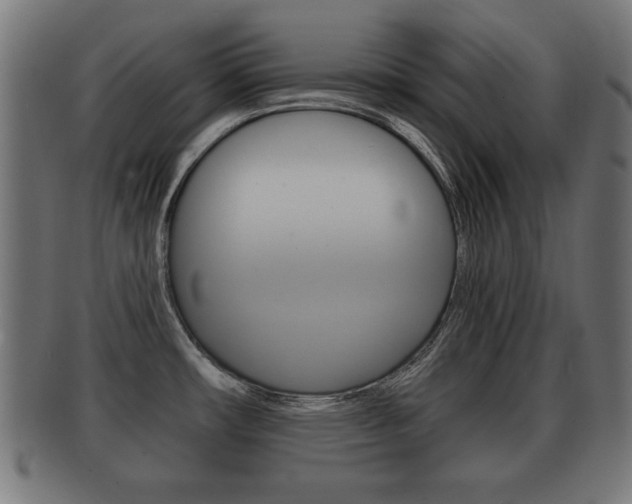 X0000091951482200709061029