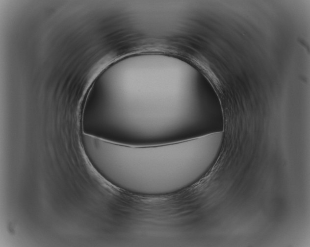 X0000091951483200709061029