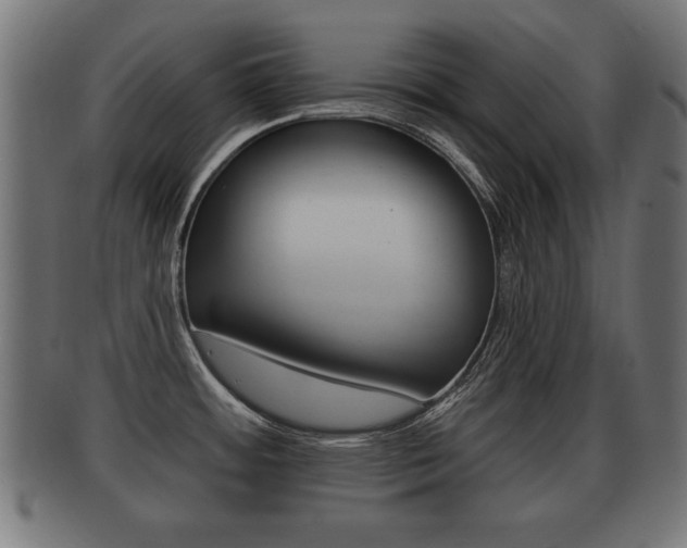 X0000091951484200709061029