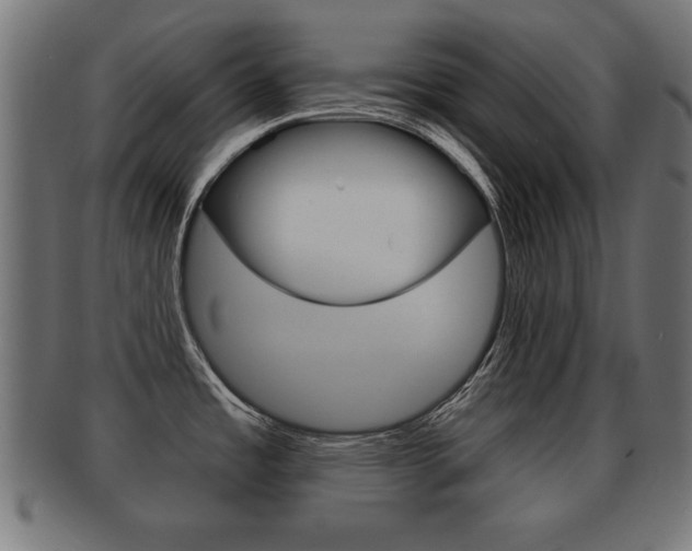 X0000091951485200709061029