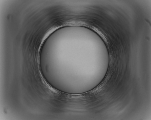 X0000091951486200709061029
