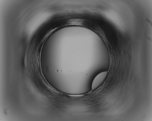 X0000091951487200709061029