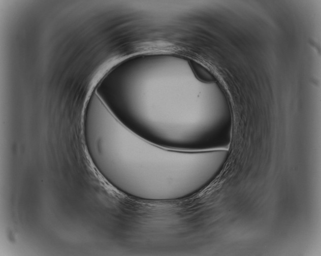 X0000091951488200709061029