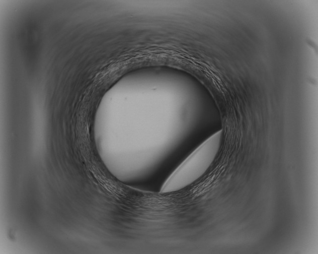X0000091951489200709061029