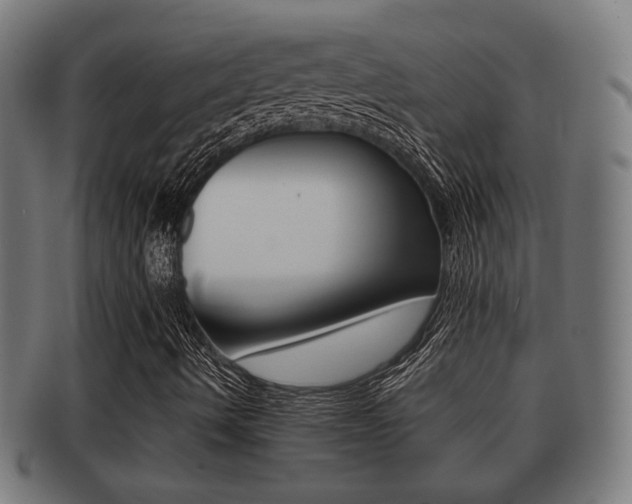 X0000091951490200709061029