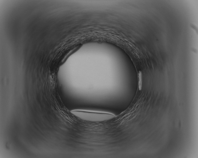 X0000091951491200709061029