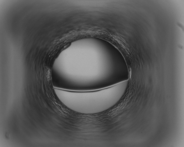 X0000091951492200709061029